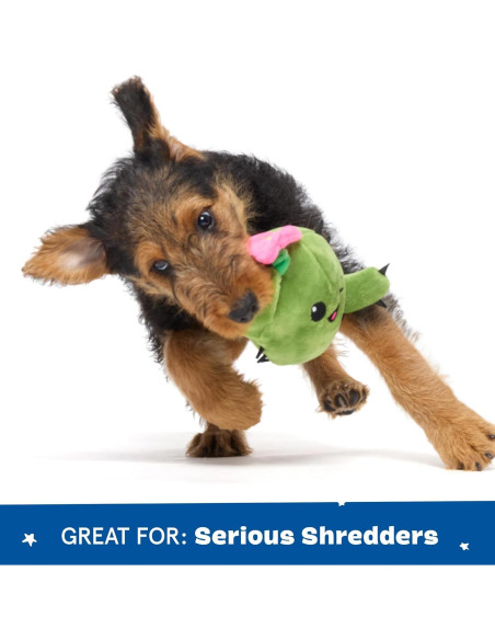 Juguete Interactivo para Perros Barkbox Consuela Cactus Pequeño
