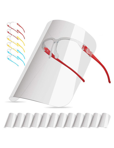 Juego de Escudos Faciales Reutilizables Ceestyle con Gafas