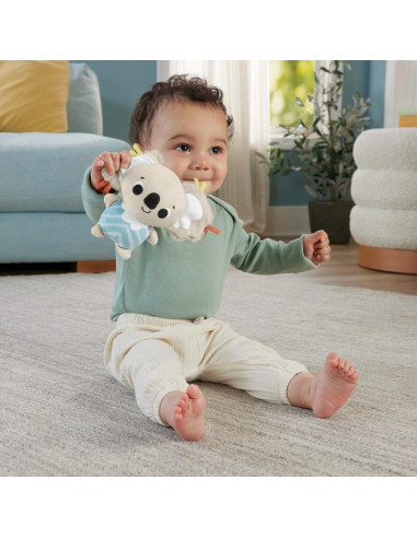 Gimnasio de Actividad Fisher-Price Simply Senses 6 Juguetes