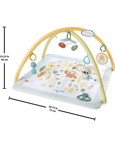 Gimnasio de Actividad Fisher-Price Simply Senses 6 Juguetes