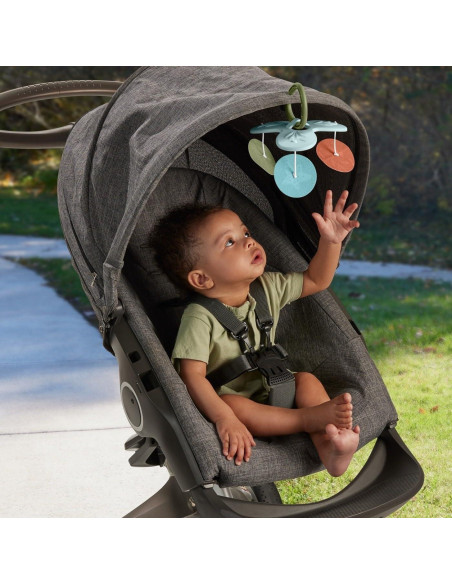 Gimnasio de Actividad Fisher-Price Simply Senses 6 Juguetes