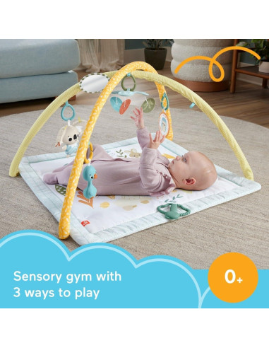 Gimnasio de Actividad Fisher-Price Simply Senses 6 Juguetes