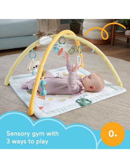 Gimnasio de Actividad Fisher-Price Simply Senses 6 Juguetes