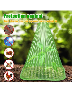 20 Piezas Campanas de Jardín Reutilizables Rex 22cm PVC 2