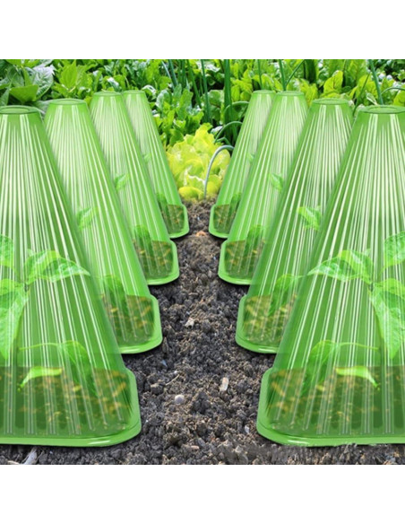 20 Piezas Campanas de Jardín Reutilizables Rex 22cm PVC