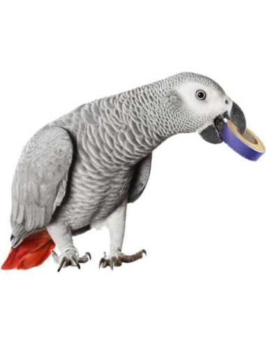 Juguetes para Aves Super Bird Creations Fatty Bagels 24 Pzas