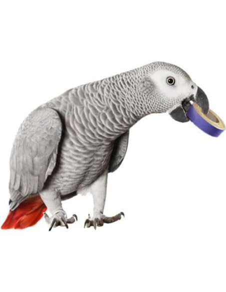 Juguetes para Aves Super Bird Creations Fatty Bagels 24 Pzas