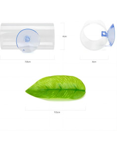 Túnel Acrílico para Peces Betta DODOAQUA 7.8cm Transparente 2