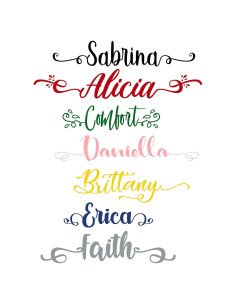 Vinilo de Transferencia Térmica SEC Apparel Personalizado