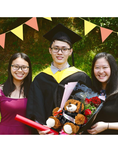 Oso de Graduación 2025 Foilswirl Toga y Gorro 22,86 cm