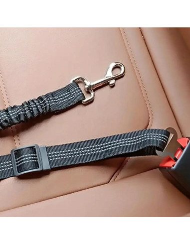 Cinturón de Seguridad para Perros Ajustable Bungee Rojo