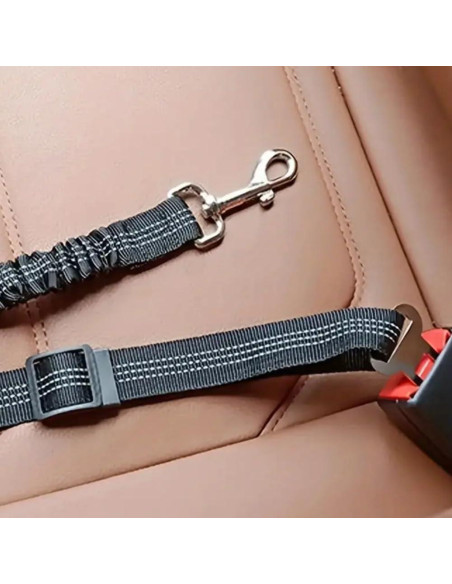 Cinturón de Seguridad para Perros Ajustable Bungee Rojo
