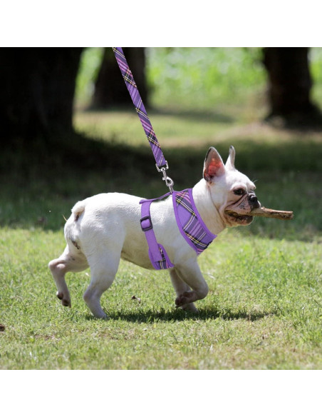 Arnés Suave PUPTECK para Perros y Gatos Talla M Púrpura