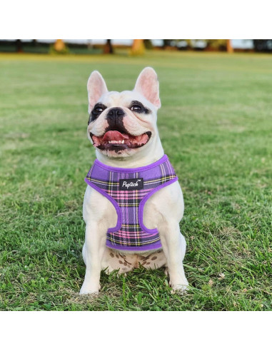 Arnés Suave PUPTECK para Perros y Gatos Talla M Púrpura