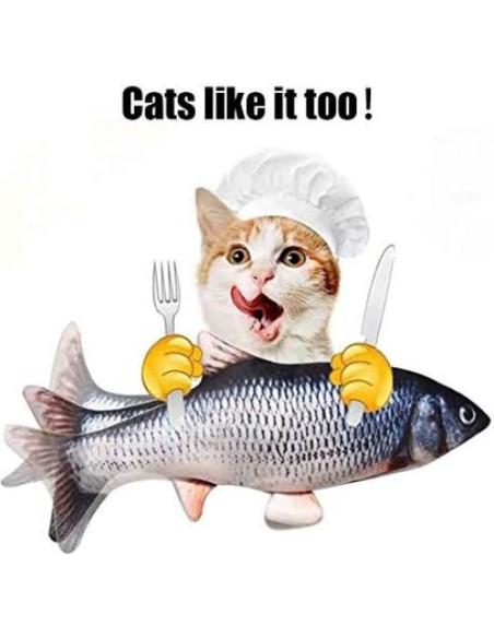 Pez de Peluche Interactivo Eléctrico Xuanyun 28x13 cm