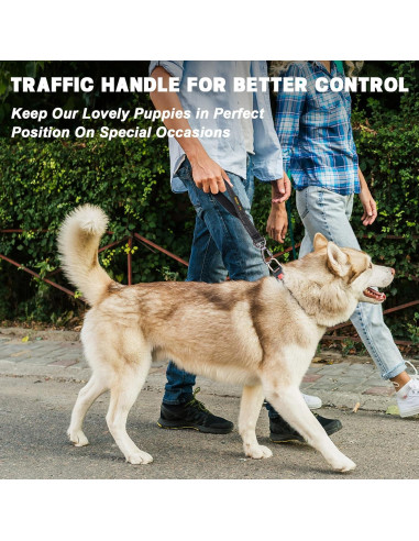 Arnés de Seguridad para Perros ODOGPETO Negro 30 cm Reflectante