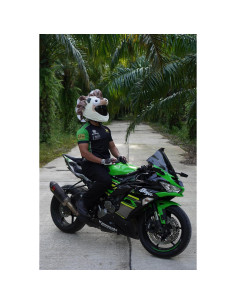 Cubierta de Casco Divertida Erizo Carbon Moto Gear 2