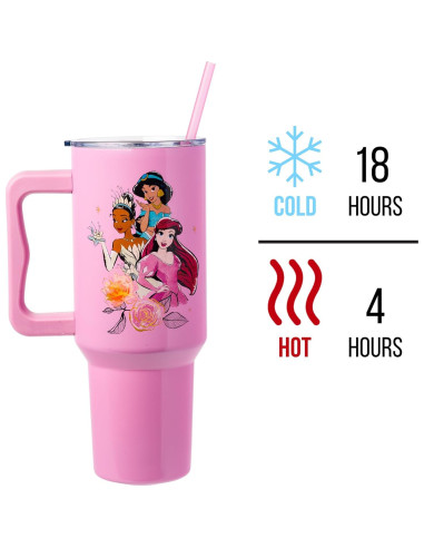 Vaso Acero Inoxidable Silver Buffalo Princesas Disney 1.18L