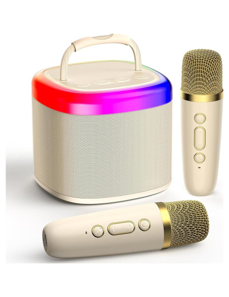 Mini máquina de karaoke HWWR con 2 micrófonos y luces