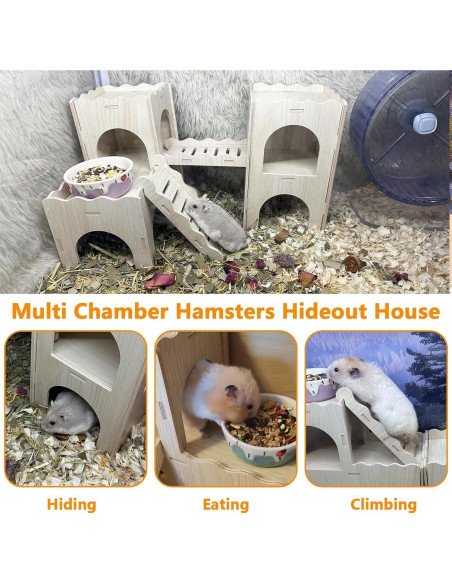 Casa Escondite Multicámara para Hámster Hamiledyi Patrón A
