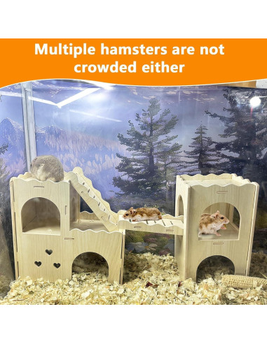 Casa Escondite Multicámara para Hámster Hamiledyi Patrón A