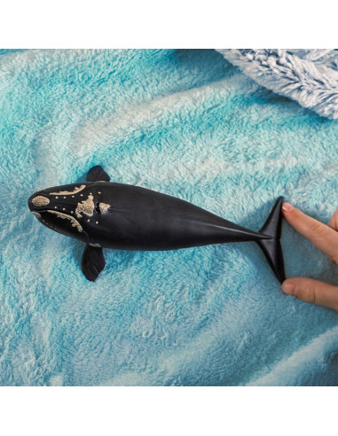 Figura de Ballena Derecha Schleich 19 cm Juguete Educativo