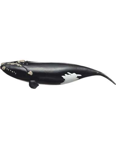 Figura de Ballena Derecha Schleich 19 cm Juguete Educativo