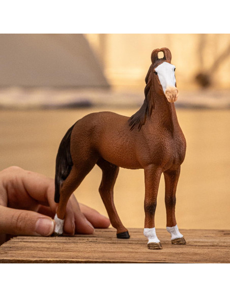 Figura de Caballo Marwari Schleich 12,7 cm Juguete Educativo