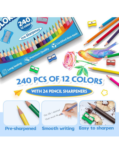 240 Lápices de Color Aigybobo para Aula - 12 Colores