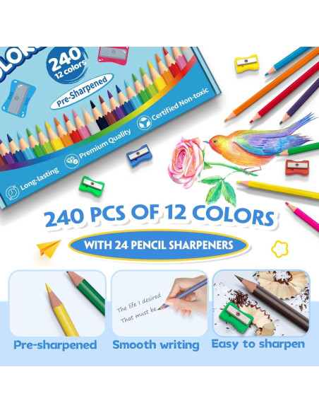 240 Lápices de Color Aigybobo para Aula - 12 Colores