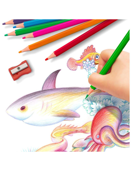 240 Lápices de Color Aigybobo para Aula - 12 Colores