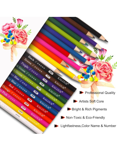 Lápices de Colores KALOUR Premium 240 Unidades Asortidos