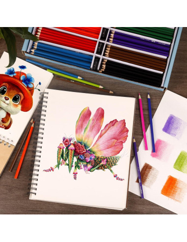 Lápices de Colores KALOUR Premium 240 Unidades Asortidos