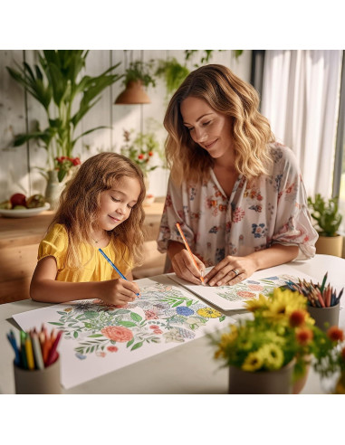 Lápices de Colores KALOUR Premium 240 Unidades Asortidos