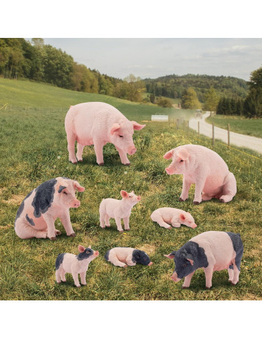Conjunto de Figuras de Cerdo 8PCS Toymany Realistas
