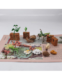 Set Educativo de Animales de Granja WONWONTOYS Ciclo de Crecimiento 2