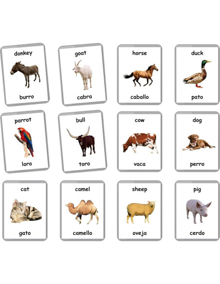Tarjetas Flash Bilingües LifeLoLo Animales de Granja 27 Tarjetas Tarjetas Flash Bilingües LifeLoLo Animales de Granja 27 Tarjetas