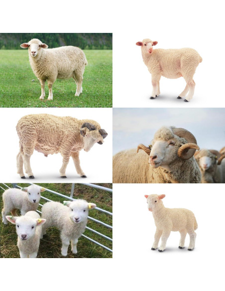 Figuras de Animales de Granja Toymany 16PCS Cerdo y Oveja