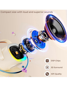 Mini Máquina de Karaoke HWWR D28T 2 Micrófonos Inalámbricos 2