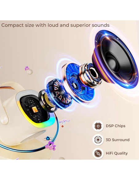 Mini Máquina de Karaoke HWWR D28T 2 Micrófonos Inalámbricos