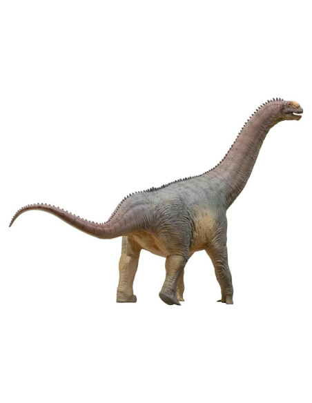 Modelo Dinosaurio Camarasaurus PNSO 85 1.36 kg 35.56 cm Modelo Dinosaurio Camarasaurus PNSO 85 1.36 kg 35.56 cm