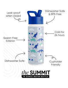 Botella de Agua Aislada Simple Modern 532ml Dinosaurio 2