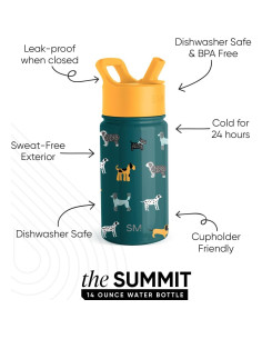 Botella de Agua Aislada Simple Modern 414ml para Niños 2