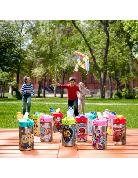 Botella de Agua Acero Inoxidable Zak 15.5 oz Frozen