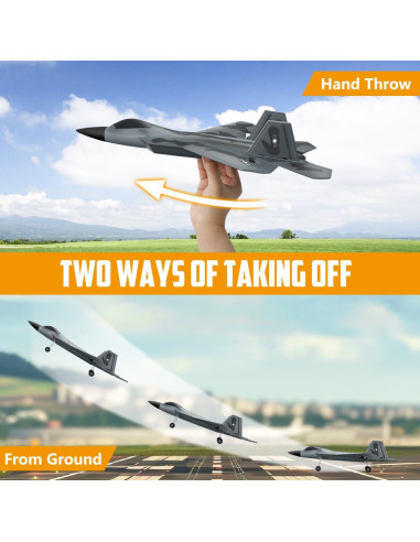 Avián RC HAWK'S WORK F-22 Control Remoto 2.4GHz 451g