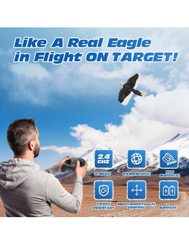 Avión RC DEERC Águila 2.4GHz con Giroscopio y 2 Baterías