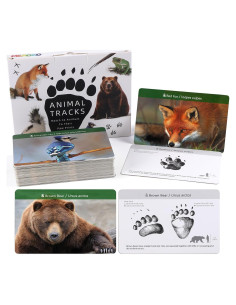 Tarjetas de Huellas de Animales MEROCO 64 Piezas Educativas