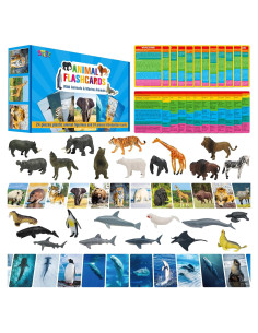 24 Figuras de Animales + 24 Tarjetas Educativas - SpriteGru