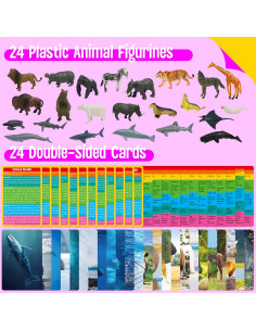 24 Figuras de Animales + 24 Tarjetas Educativas - SpriteGru 2