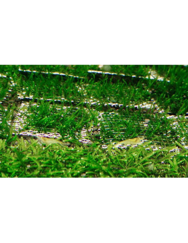 5PCS Malla de Alambre Acuática SQXBK 10x20cm Acero Inoxidable